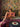 Betty Bandeau