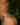 Teal bikini with floral details on a blurred green leafy background